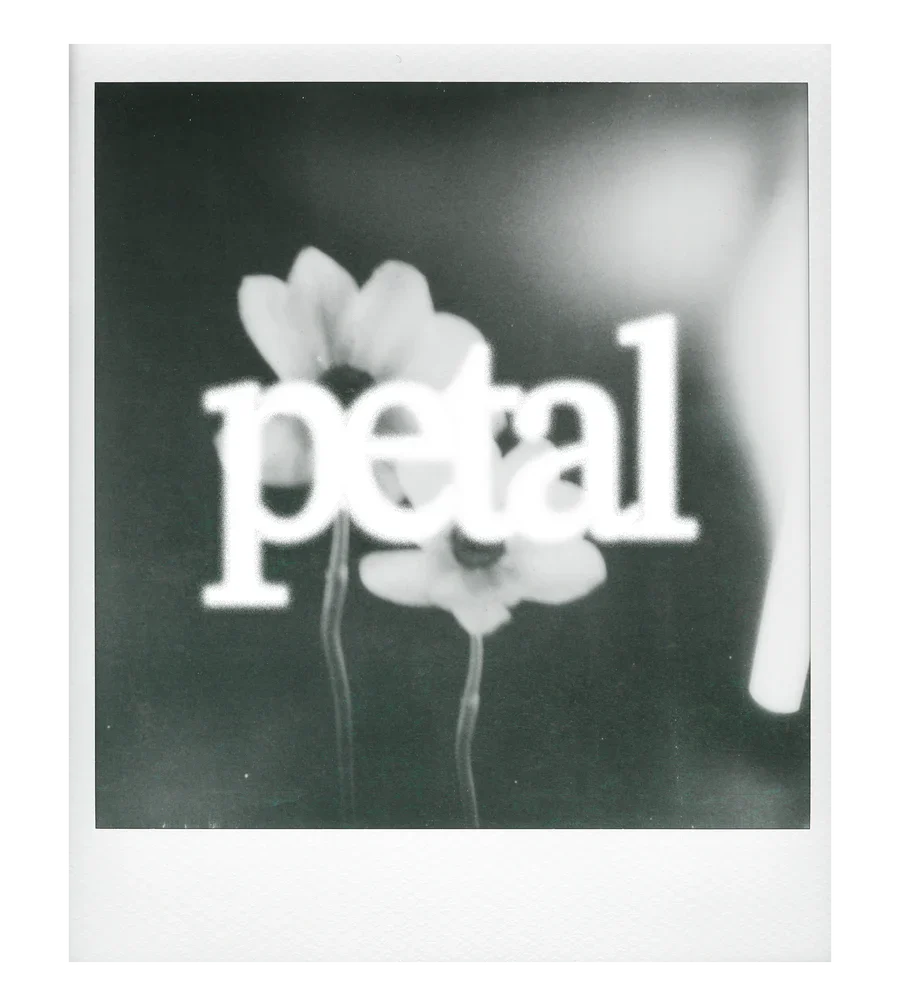 petal