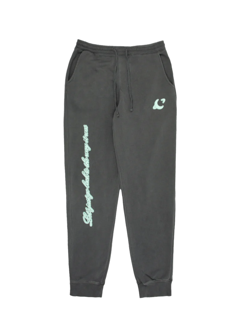 Charcoal Ariana Grande Honeymoon Avenue sweatpants front view with mint script leg graphic and relaxed fit